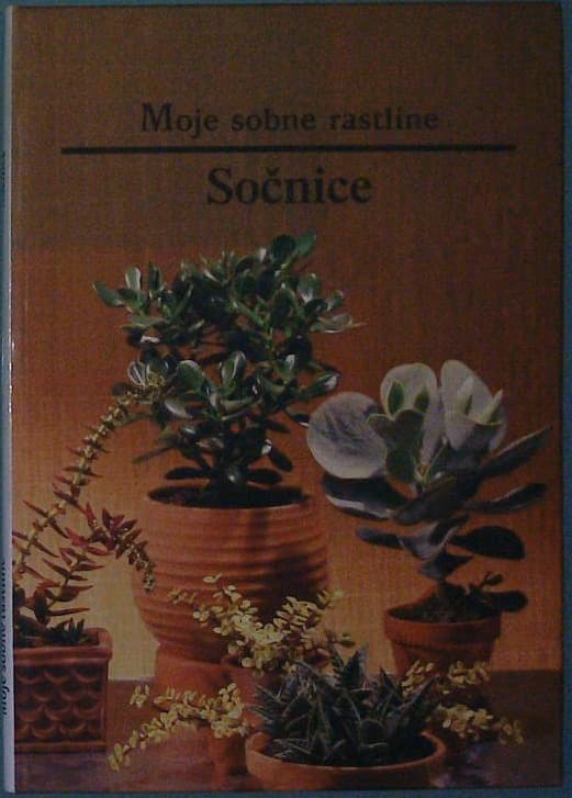 Naslovnica knjige Moje sobne rastline / Sončnice
