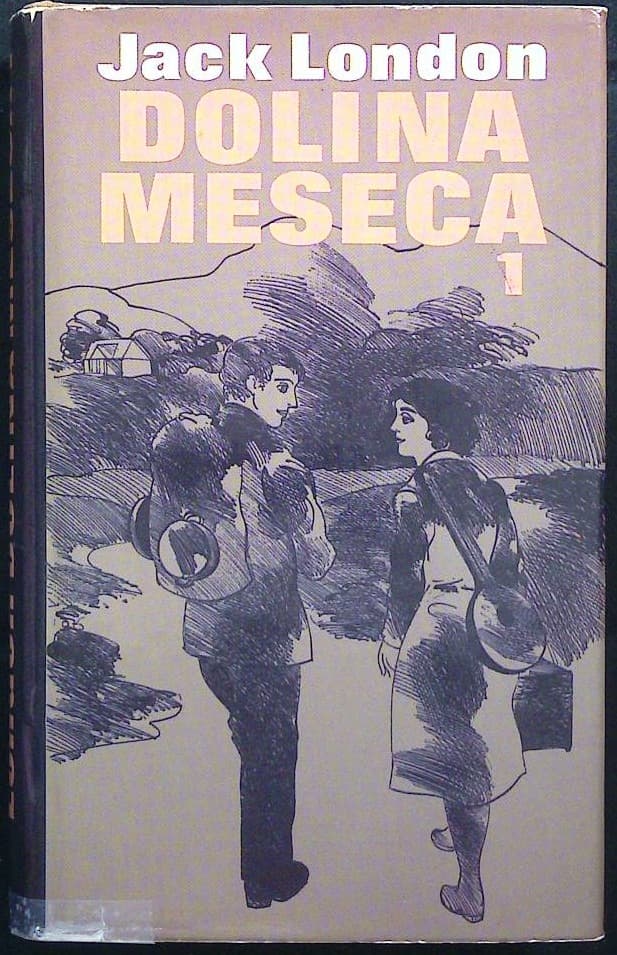 Naslovnica knjige Dolina meseca  1