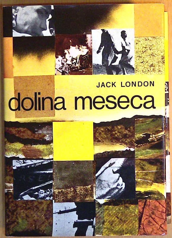 Naslovnica knjige Dolina meseca