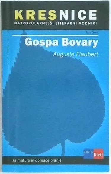 Naslovnica knjige Gospa Bovary : priročnik za spoznavanje književnih del