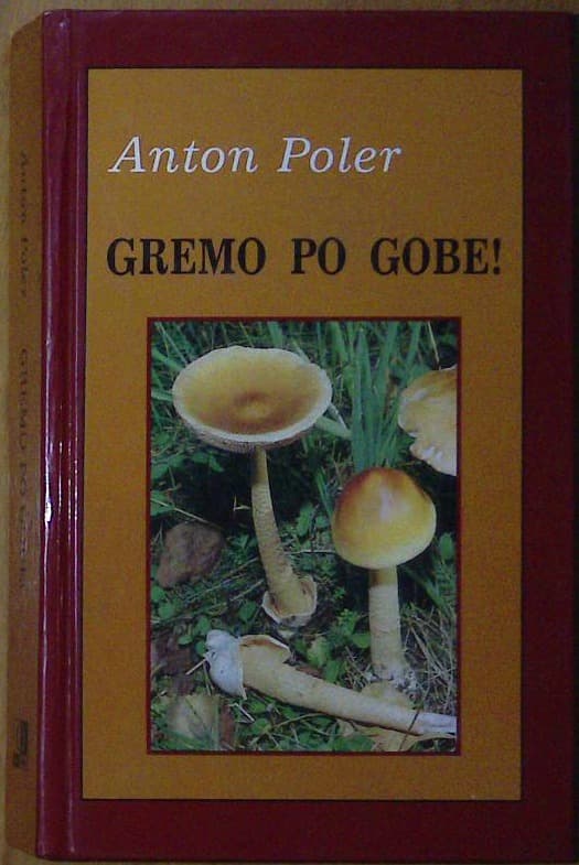 Naslovnica knjige Gremo po gobe