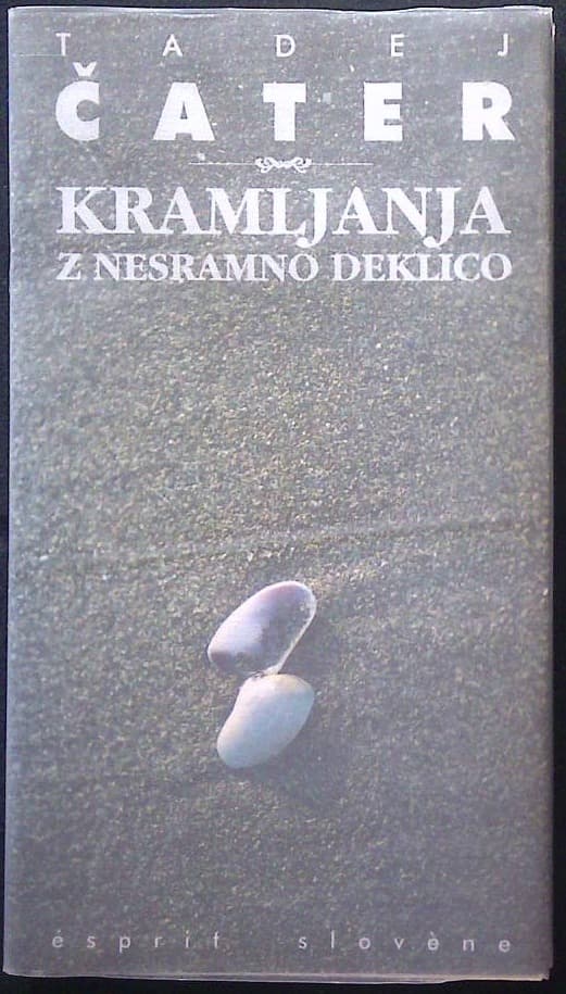Naslovnica knjige Kramljanja z nesramno deklico