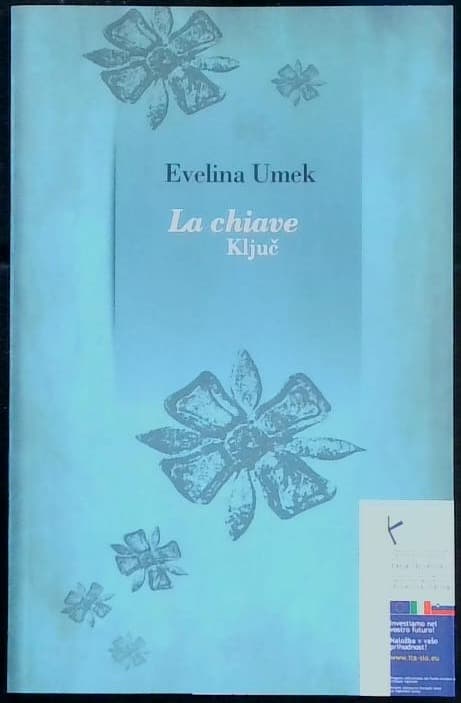 Naslovnica knjige La chiave - Ključ