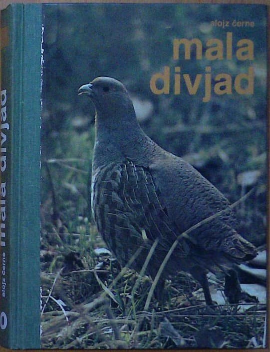 Naslovnica knjige Mala divjad