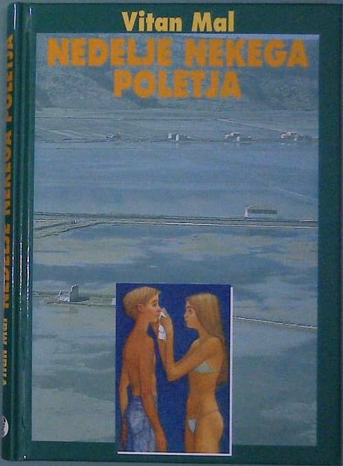 Naslovnica knjige Nedelje nekega poletja