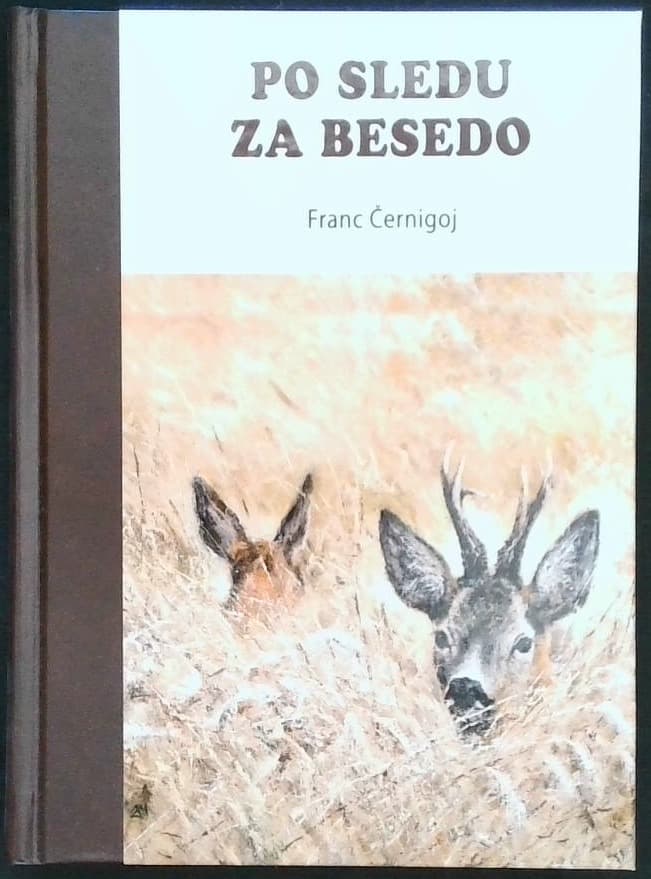 Naslovnica knjige Po sledu za besedo