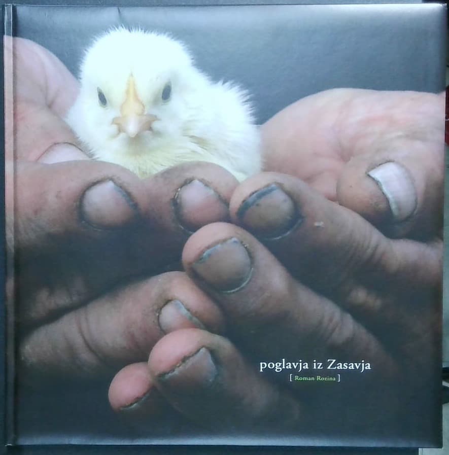 Naslovnica knjige Poglavja iz Zasavja