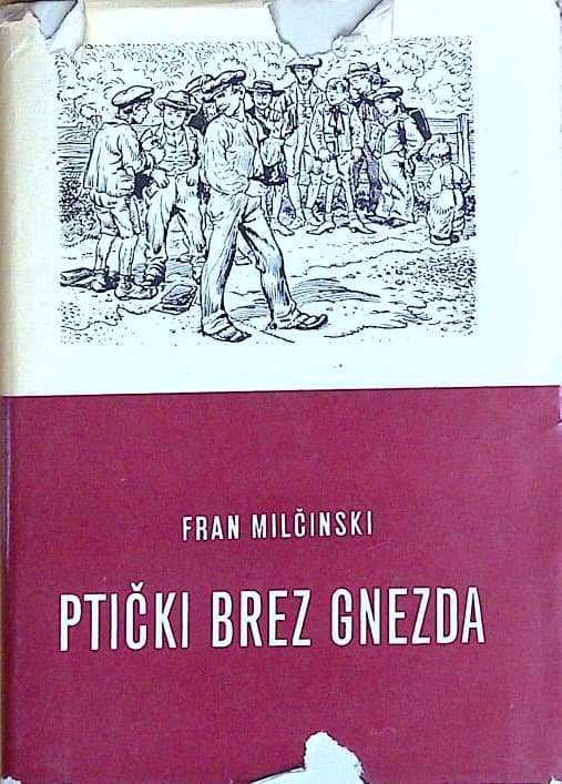 Naslovnica knjige Ptički brez gnezda