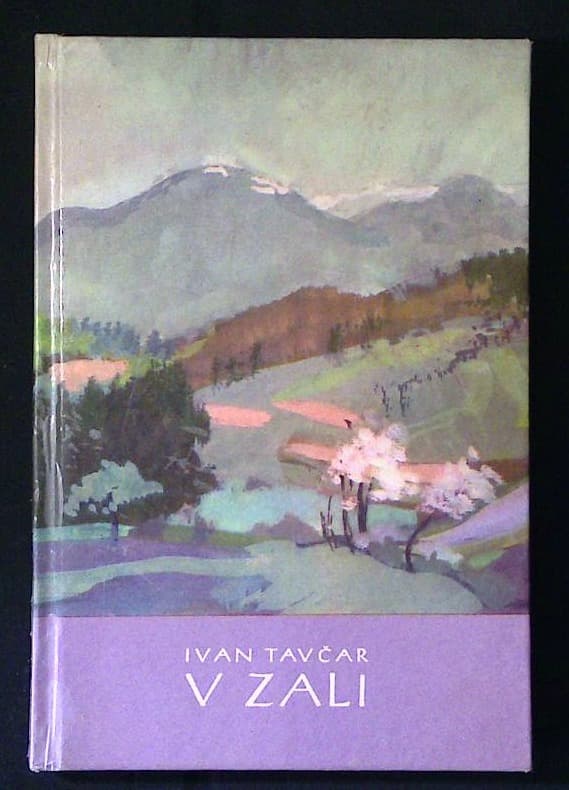 Naslovnica knjige V zali