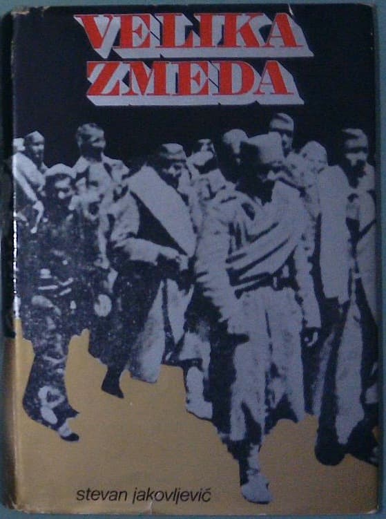 Naslovnica knjige Velika zmeda