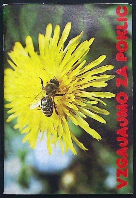 Naslovnica knjige Vzgajajmo za poklic