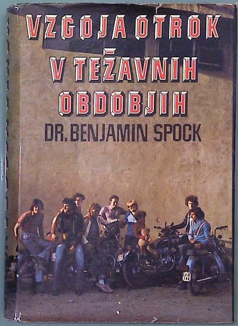 Naslovnica knjige Vzgoja otrok v težavnih obdobjih