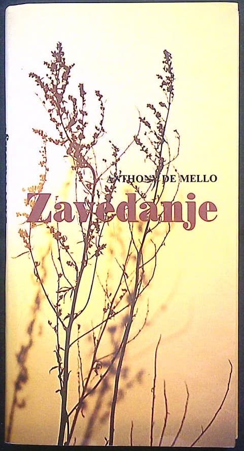 Naslovnica knjige Zavedanje