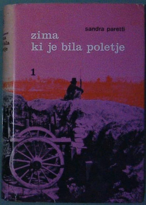 Naslovnica knjige Zima, ki je bila poletje 1