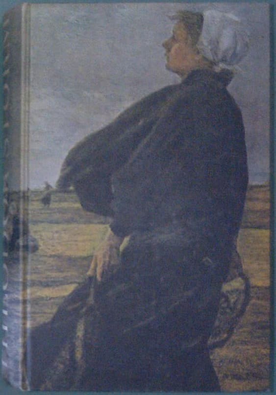 Naslovnica knjige Am Grauen Meer