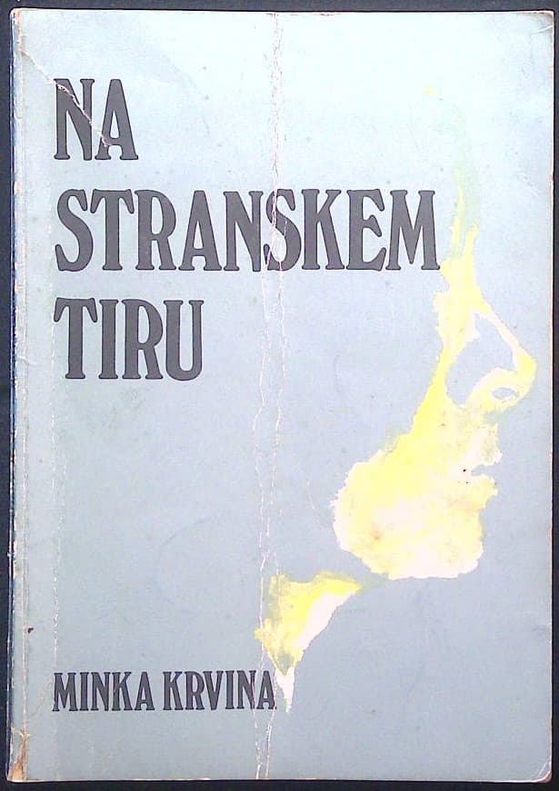 Naslovnica knjige Na stranskem tiru